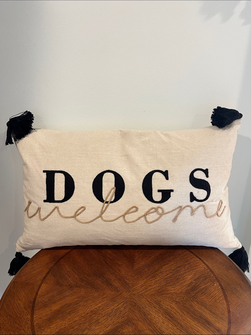 Sonoma Embroidered “Dogs Welcome” Large Rectangle Tassel Pillow Feather Fill